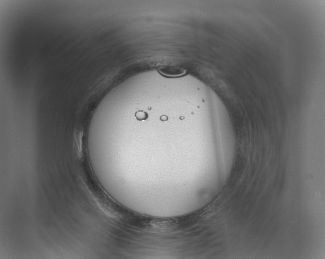 X0000073970070200609111753