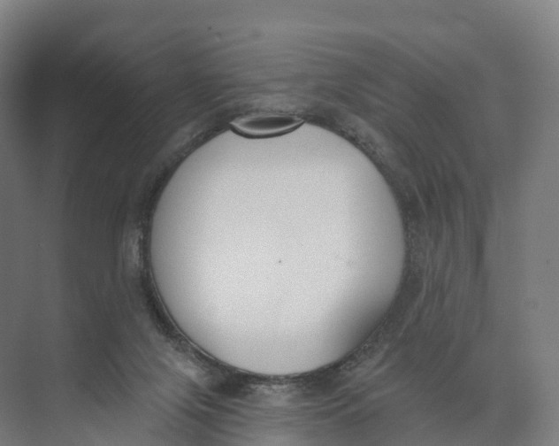 X0000073970071200609111753