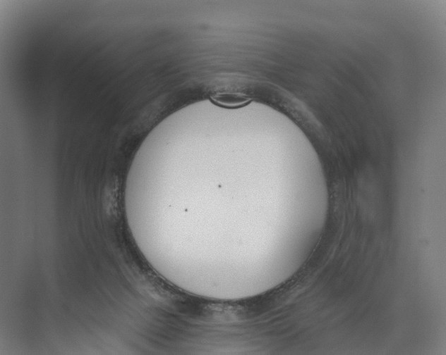 X0000073970073200609111753