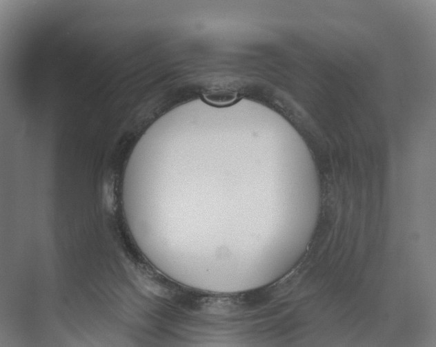 X0000073970074200609111753