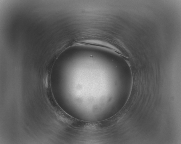 X0000073970076200609111753