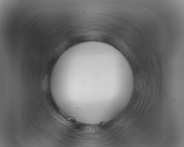 X0000073970077200609111753