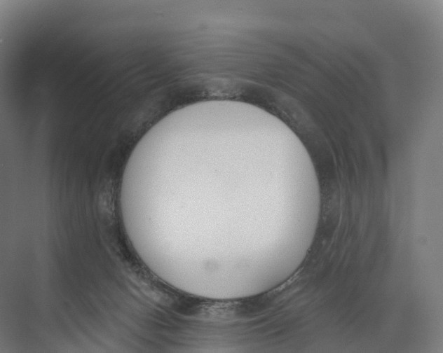 X0000073970078200609111753