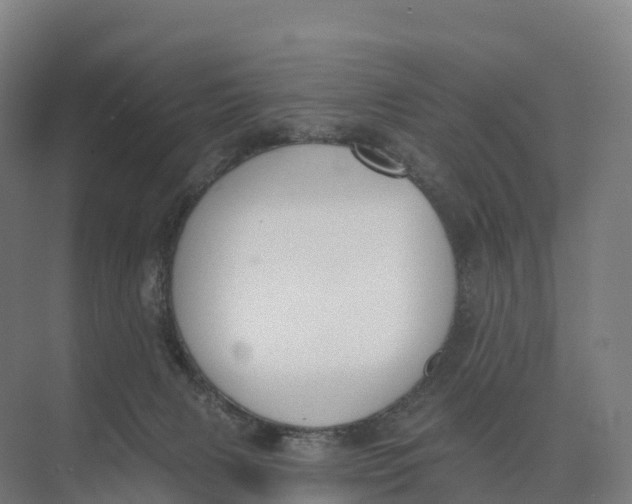 X0000073970079200609111753