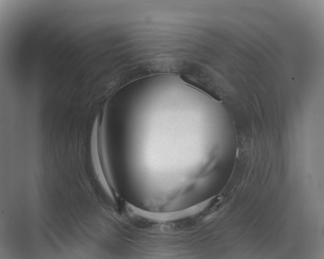 X0000073970080200609111753