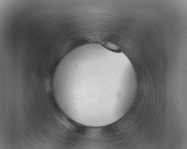 X0000073970081200609111753