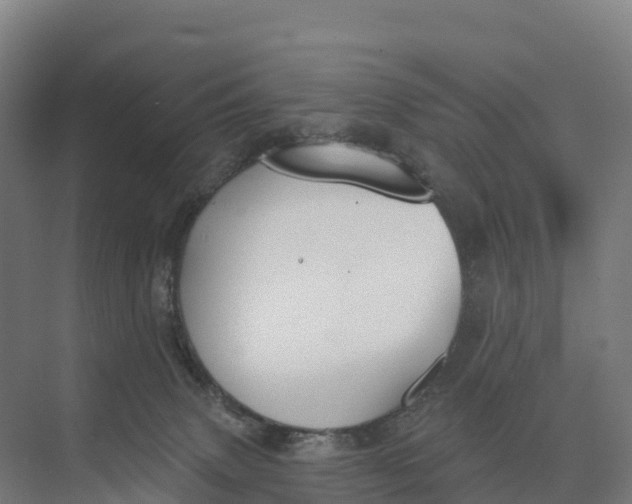 X0000073970083200609111753