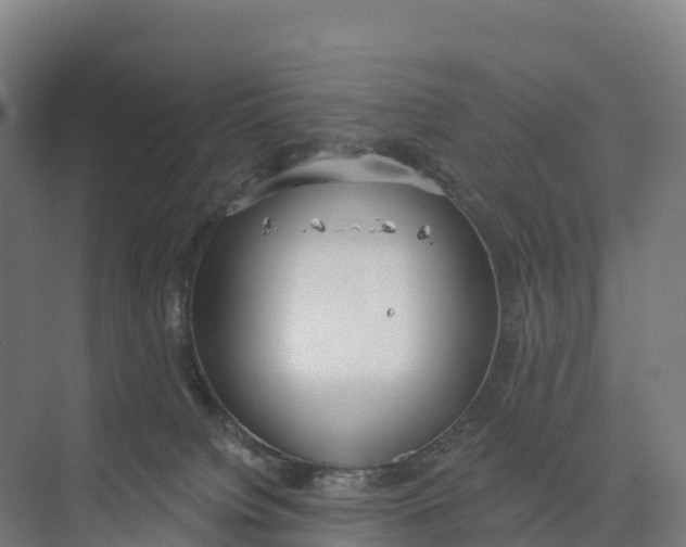 X0000073970084200609111753