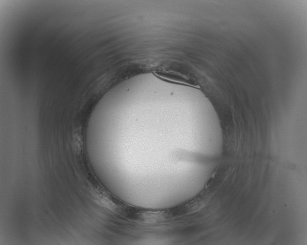 X0000073970085200609111753