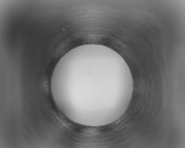 X0000073970086200609111753