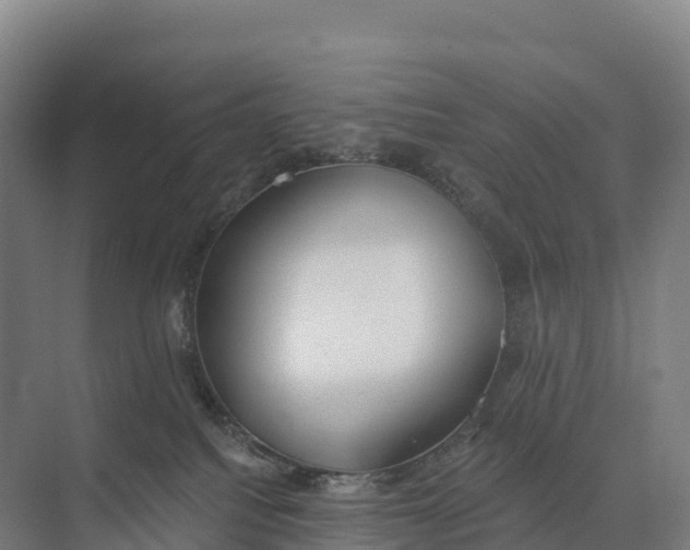 X0000073970088200609111753