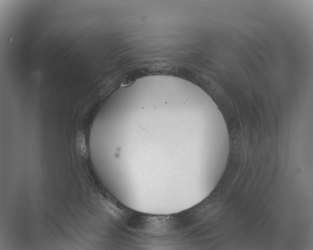 X0000073970089200609111753