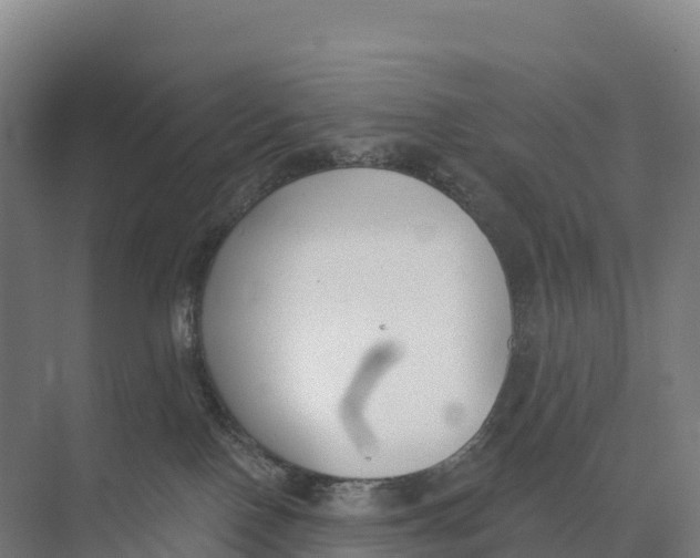 X0000073970090200609111753