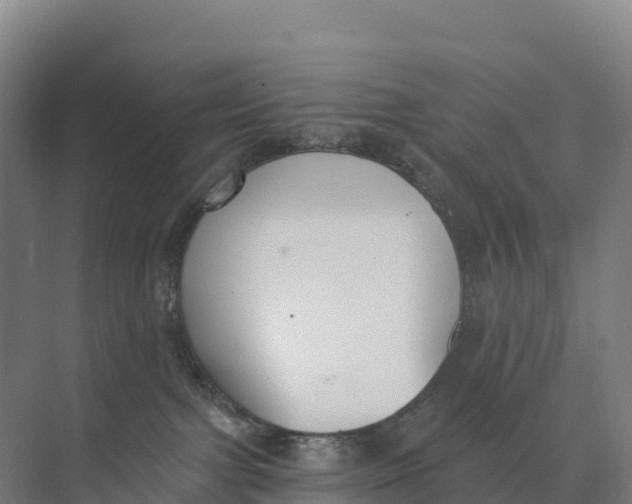 X0000073970091200609111753