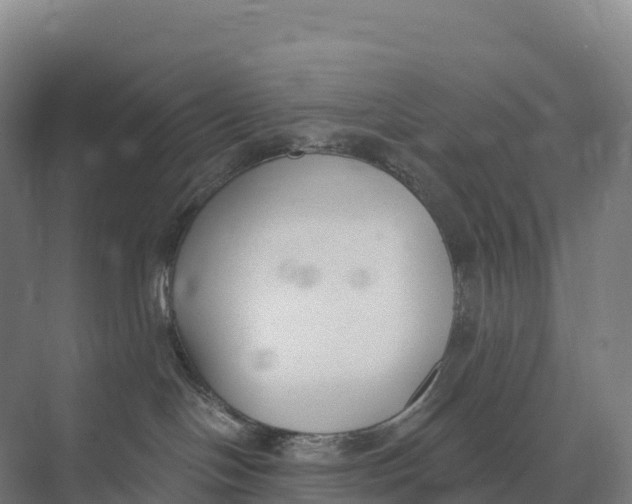 X0000073970094200609111753