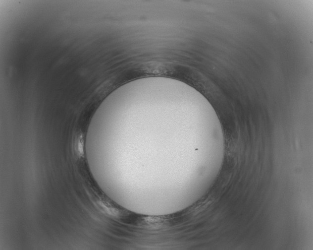 X0000073970095200609111753