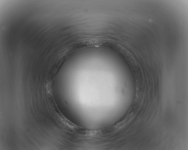 X0000073970096200609111753