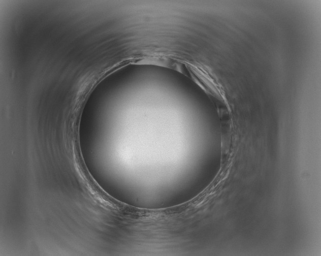 X0000073970097200609111752