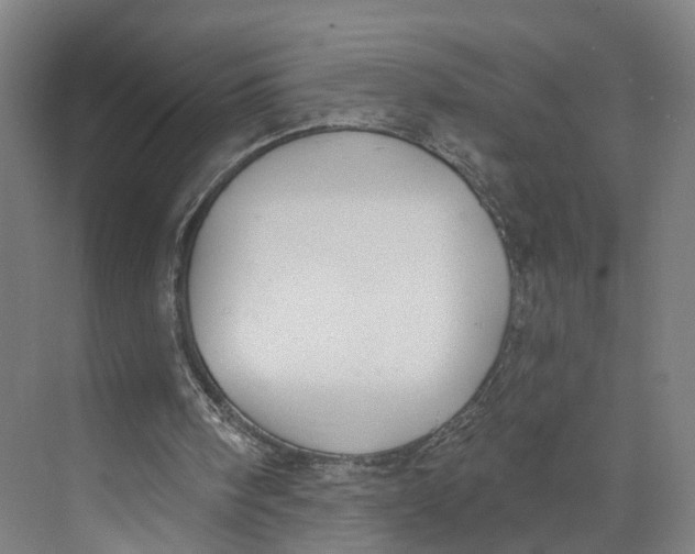 X0000073970098200609111752