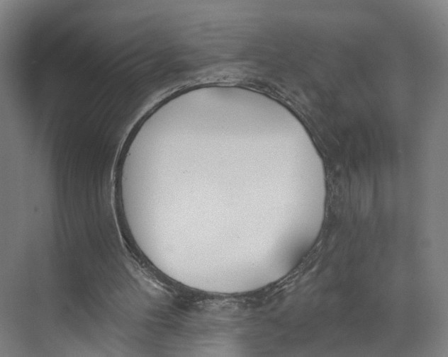 X0000073970100200609111752