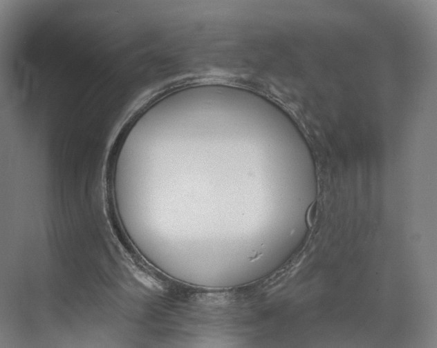 X0000073970102200609111752