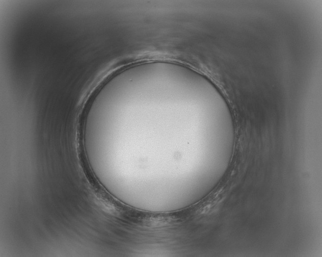 X0000073970103200609111752