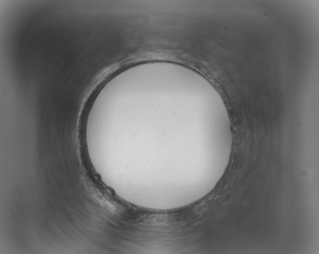 X0000073970104200609111752