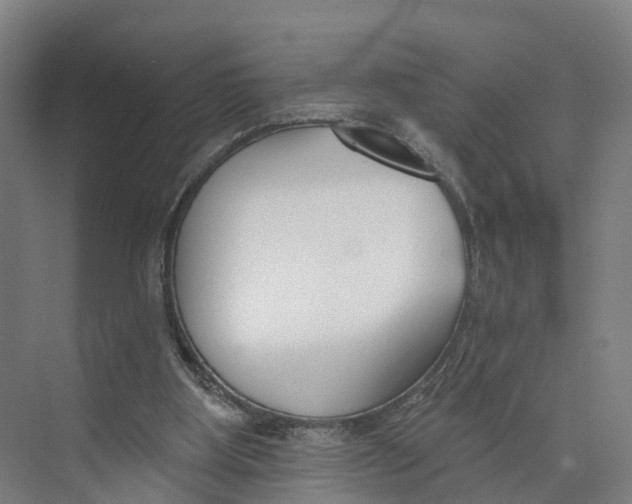 X0000073970107200609111752