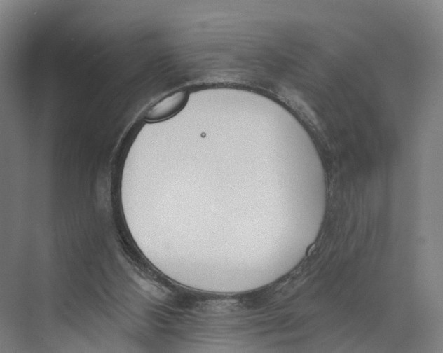 X0000073970108200609111752