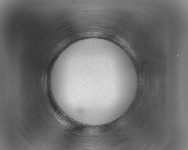 X0000073970110200609111752