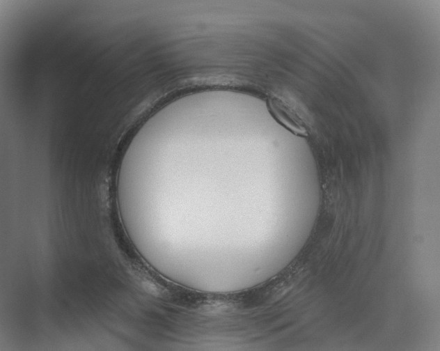 X0000073970111200609111752