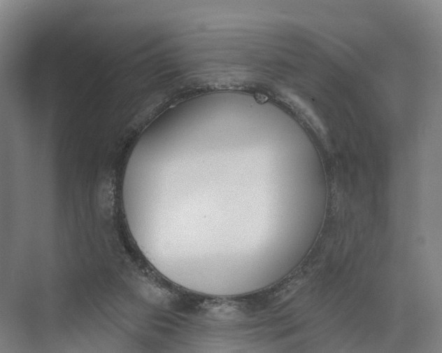 X0000073970113200609111752