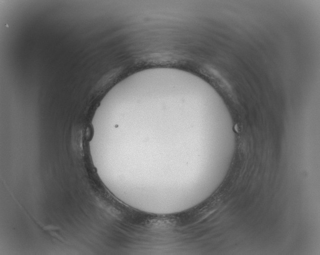 X0000073970115200609111752