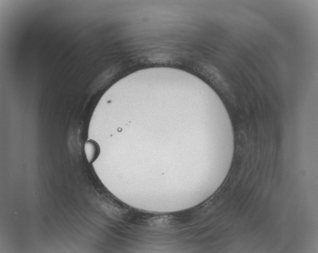 X0000073970116200609111752