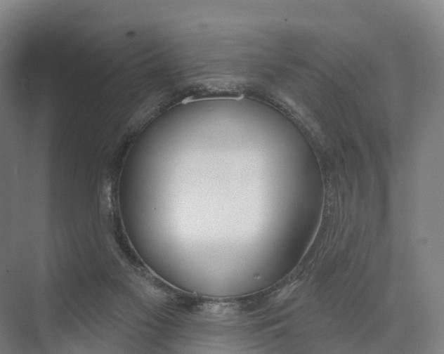 X0000073970117200609111752