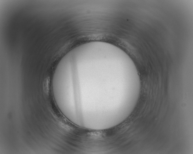 X0000073970118200609111752