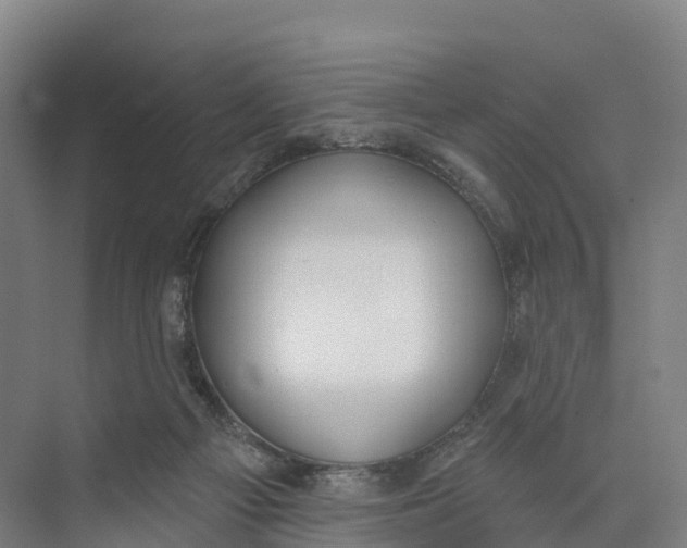 X0000073970121200609111752