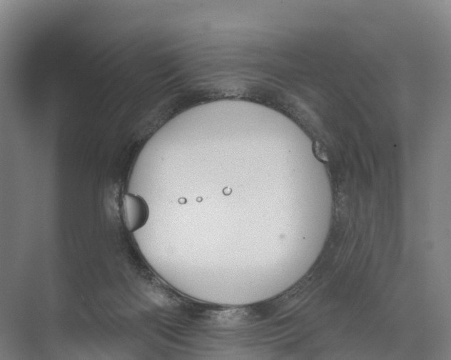 X0000073970122200609111752