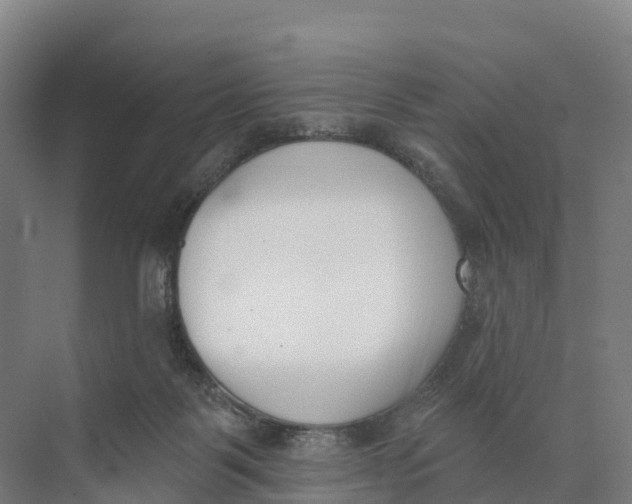 X0000073970123200609111752