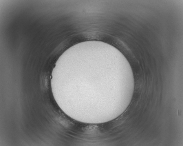 X0000073970124200609111752