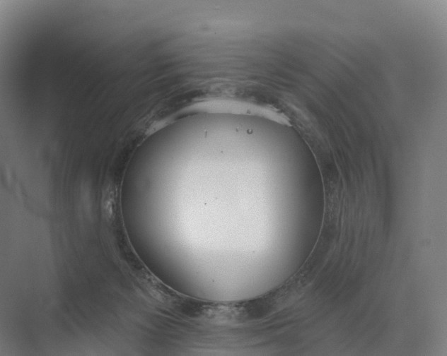 X0000073970125200609111752