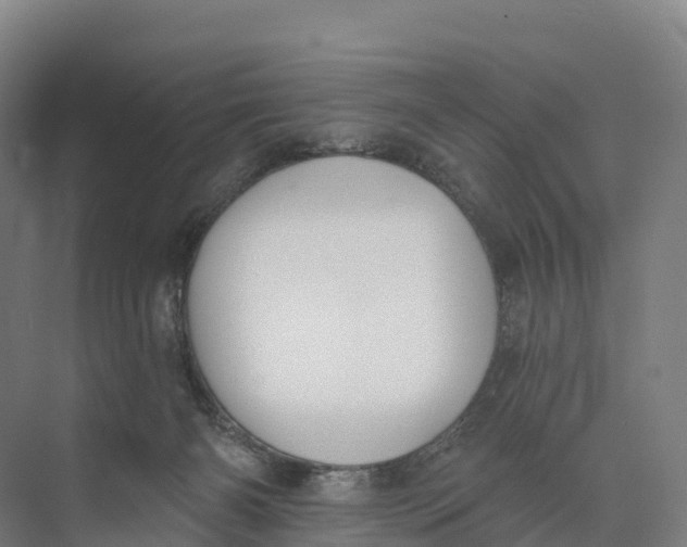 X0000073970126200609111752