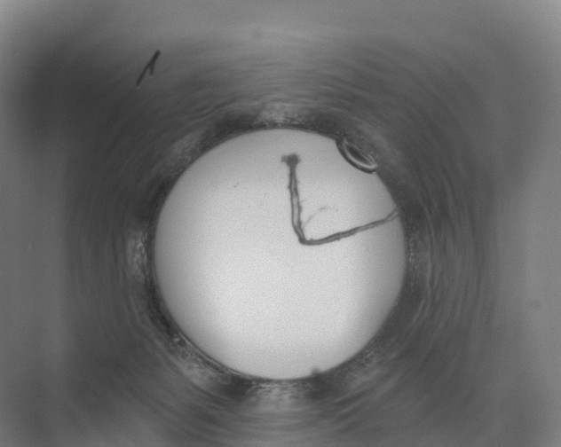 X0000073970127200609111752