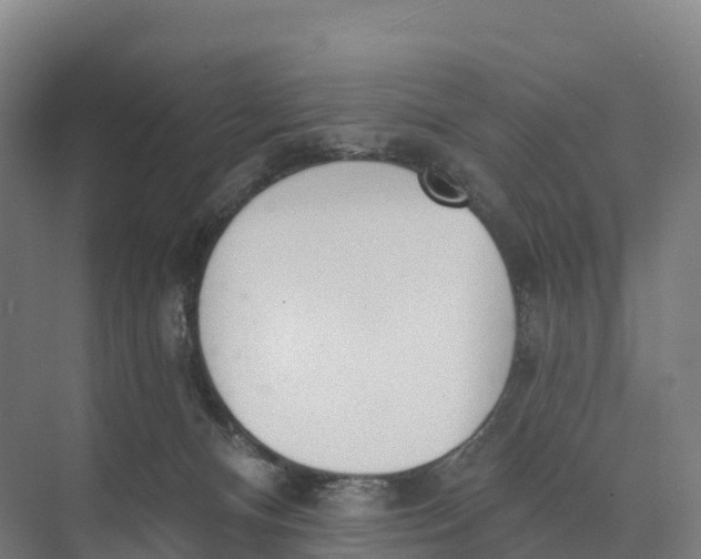 X0000073970128200609111752