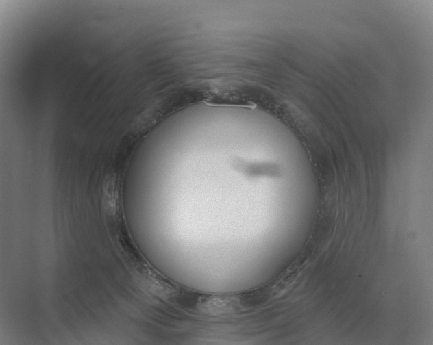 X0000073970129200609111752