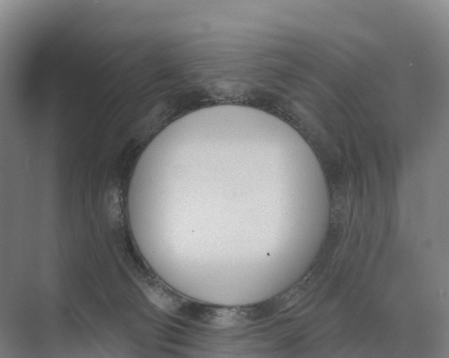 X0000073970130200609111752