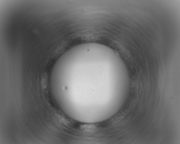 X0000073970133200609111752