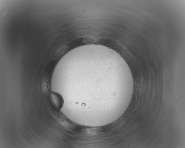 X0000073970134200609111752