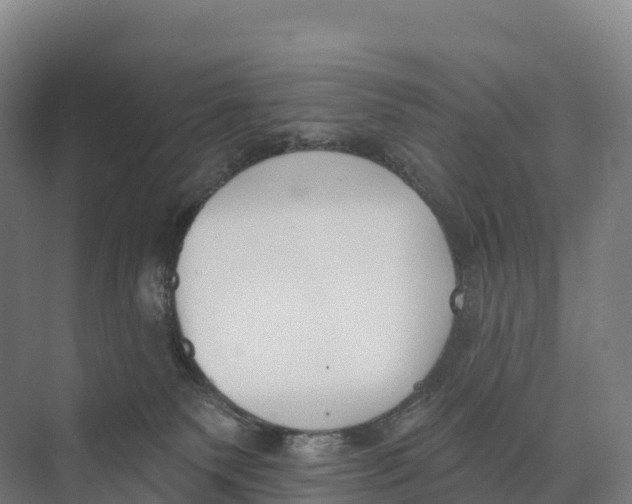 X0000073970135200609111752