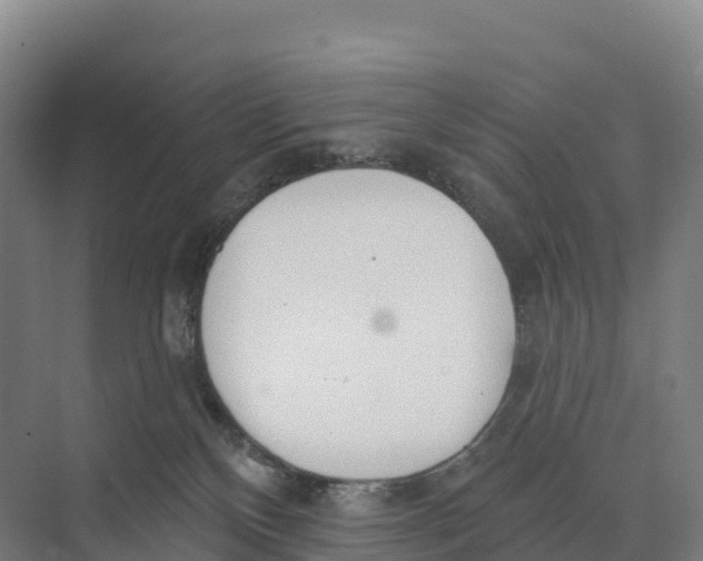 X0000073970136200609111752